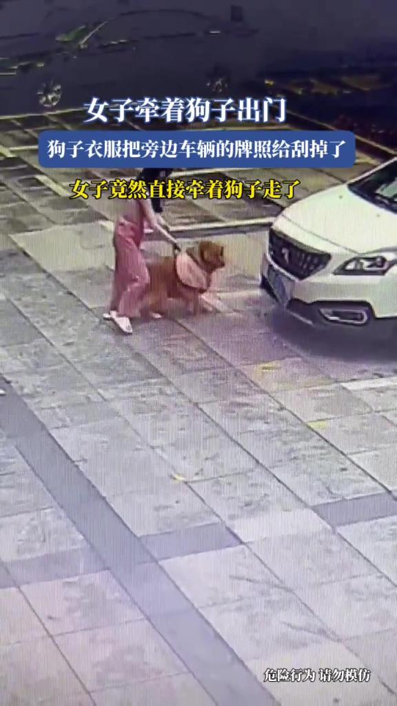 女子牵着狗子出门,狗子衣服把旁边车辆的牌照给刮掉了!!