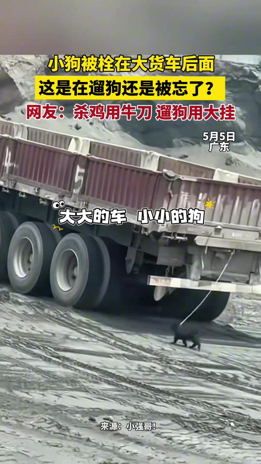 小狗被拴在大货车后面 这是在遛狗还是被忘了？