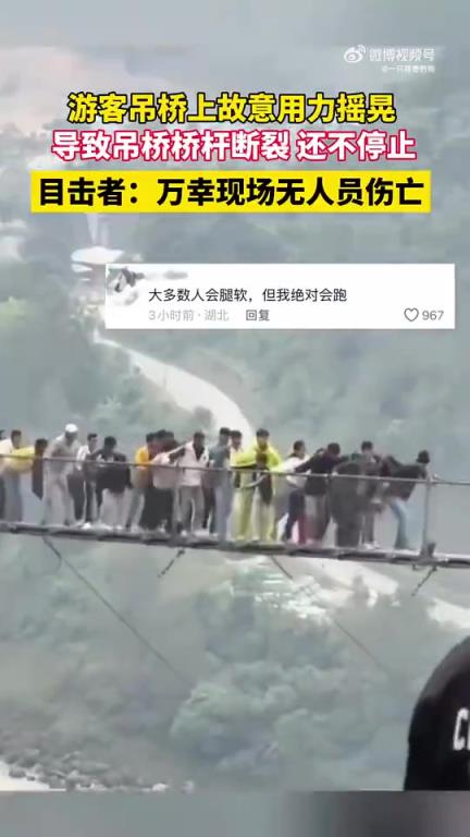 游客在吊橋上故意猛力搖晃，致橋標斷裂仍不停