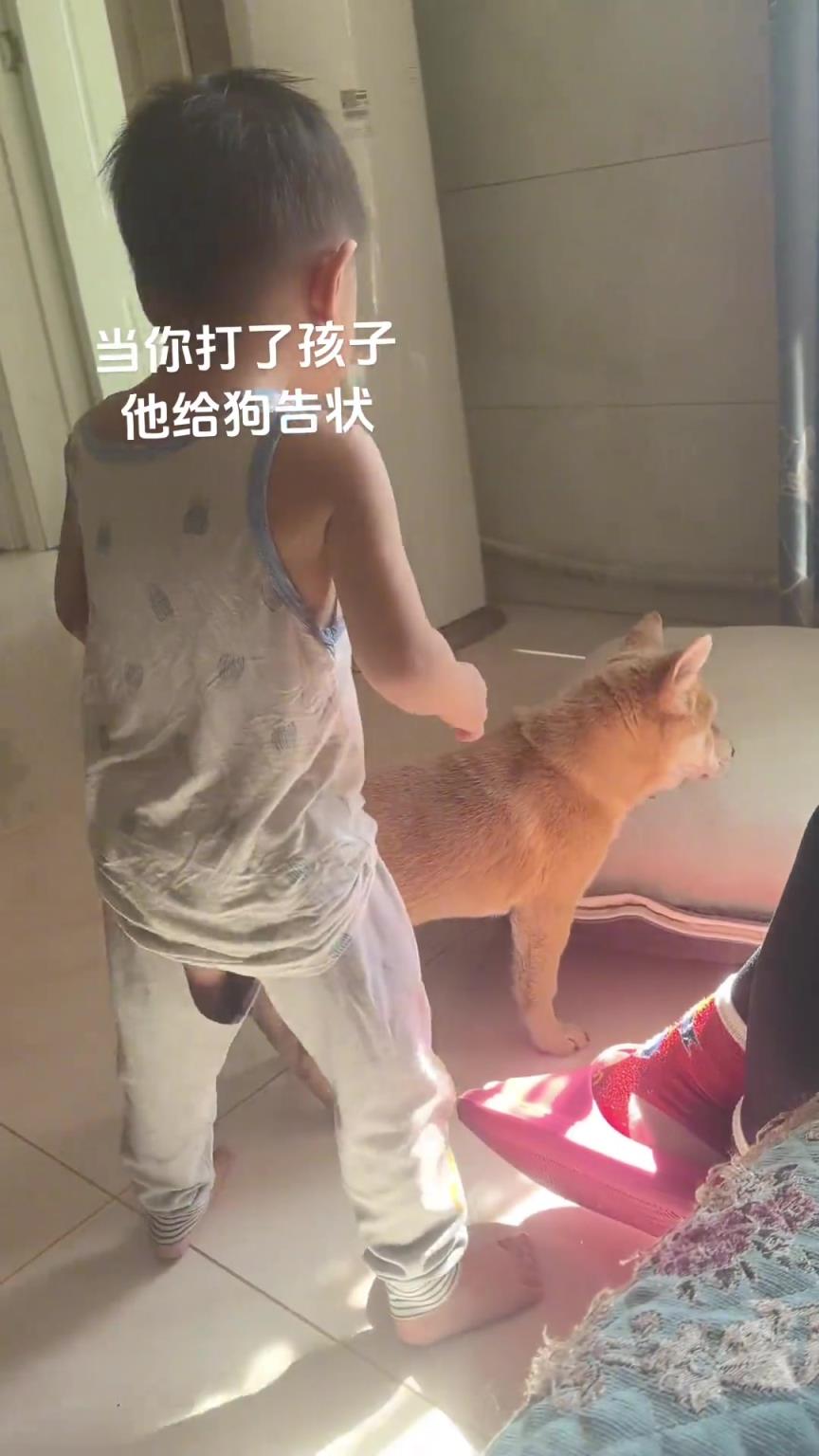小屁孩给狗子告状
