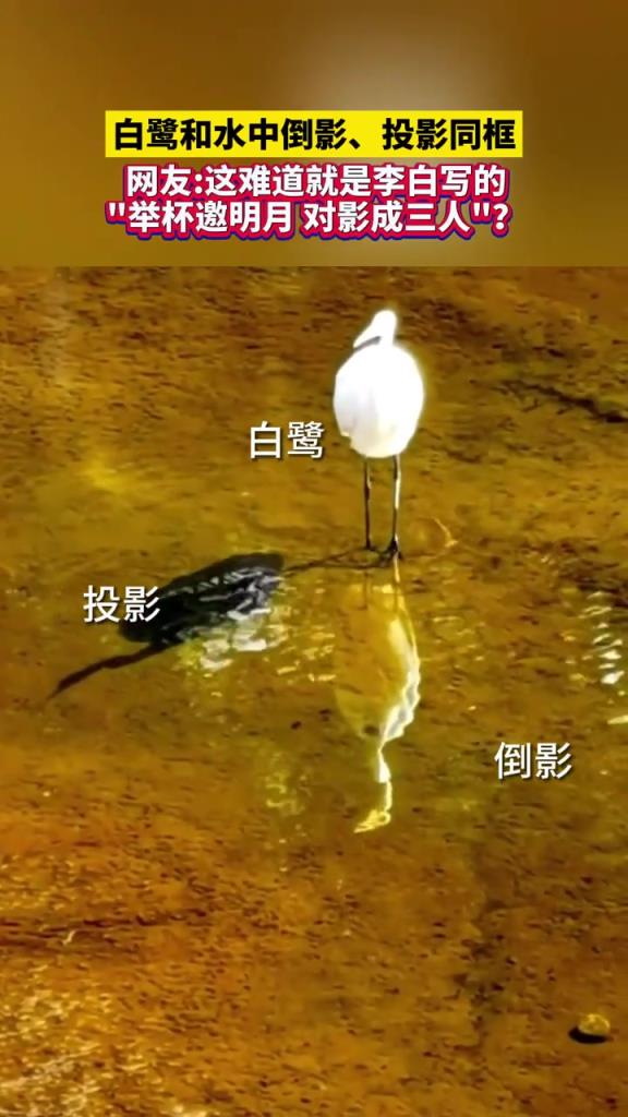 两个影子？物理学不存在了？