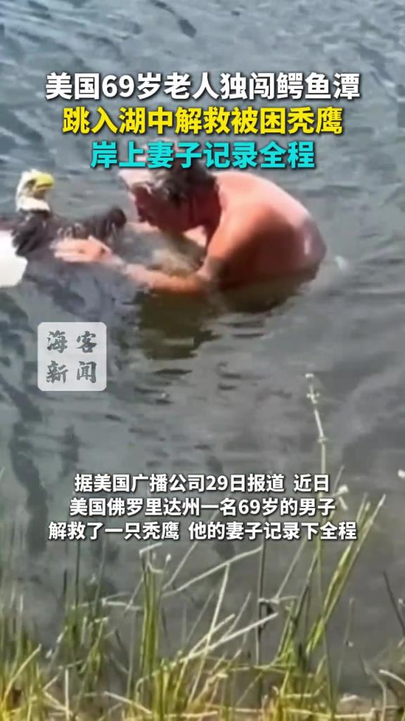 美国69岁老人独闯鳄鱼潭 跳入湖中解救被困秃鹰