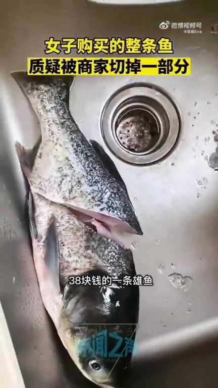 女子維權(quán)稱買魚遇缺斤少兩，魚被切掉部分真相幾何？