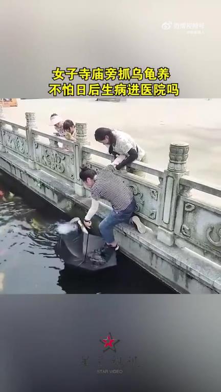 女子在寺廟旁抓烏龜飼養(yǎng)