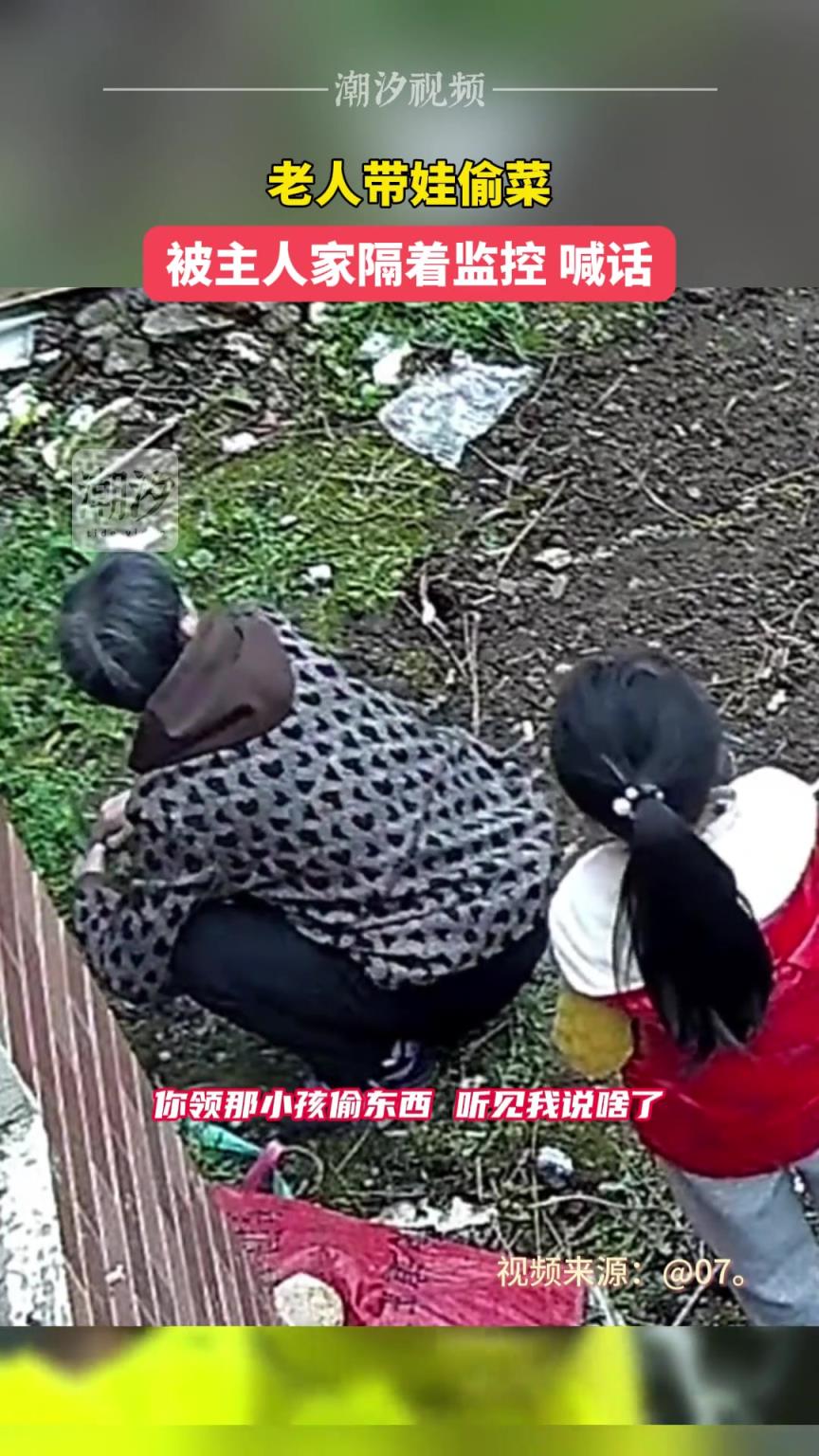 老人带娃偷菜 被主人家隔着监控 喊话