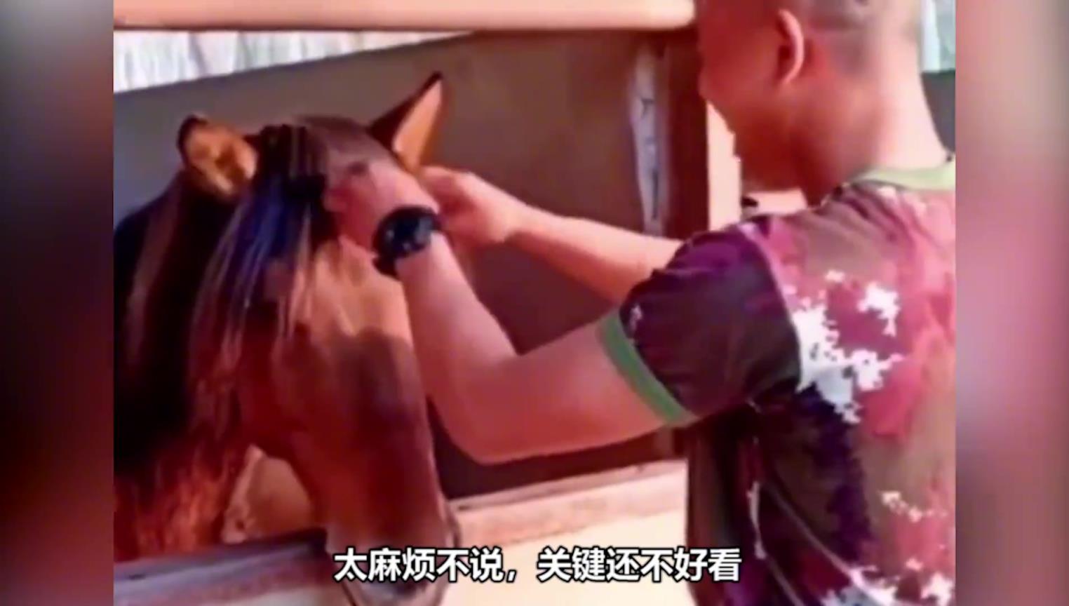 毛發這么短，為什么要給馬兒剃毛？