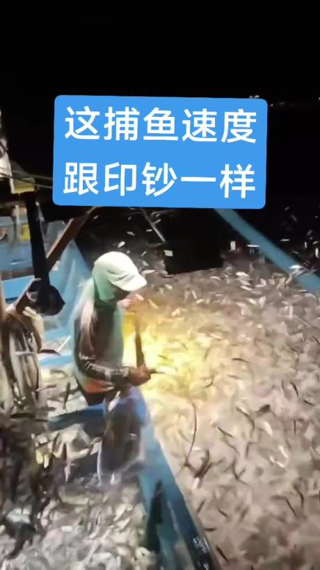 船長笑開花了，干活的累個半死