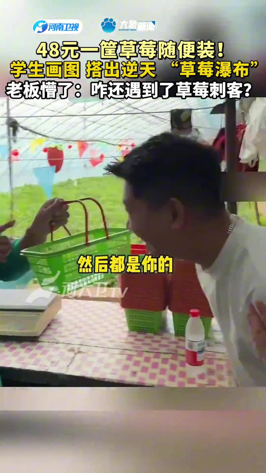 48元一筐草莓隨便裝！學生畫圖，搭出逆天 “草莓瀑布”