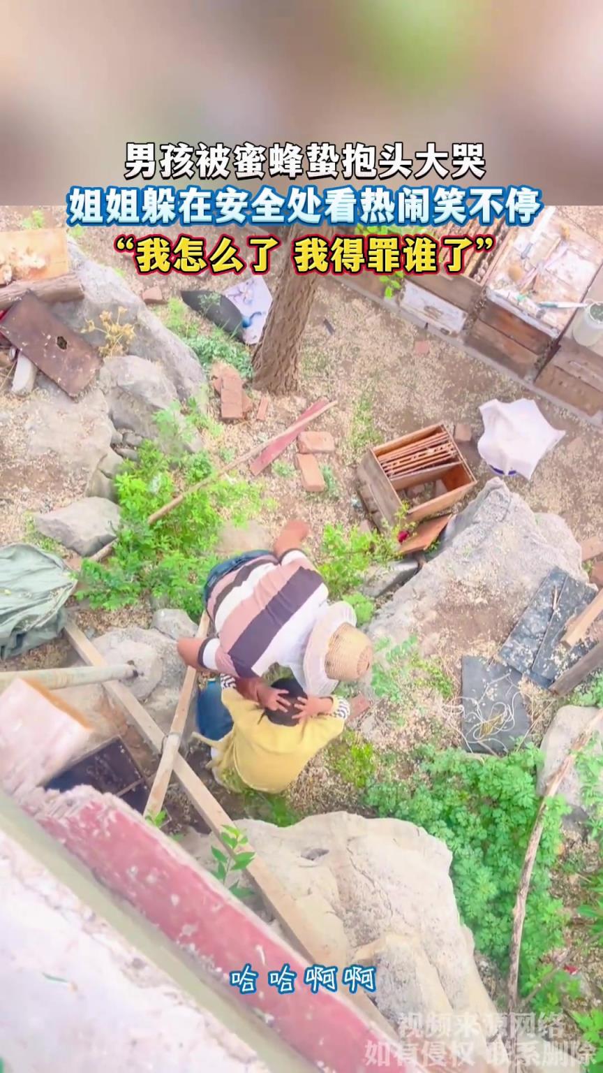 男孩被蜜蜂蟄抱頭大哭，姐姐躲在安全處看熱鬧笑不停