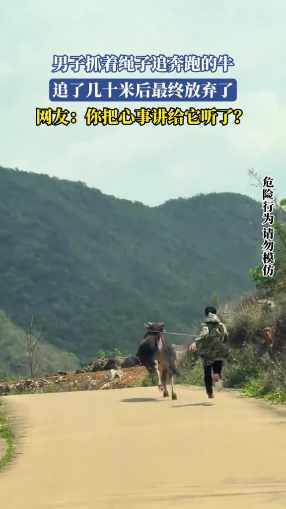 男子抓著繩子追奔跑的牛 追了幾十米后最終放棄了
