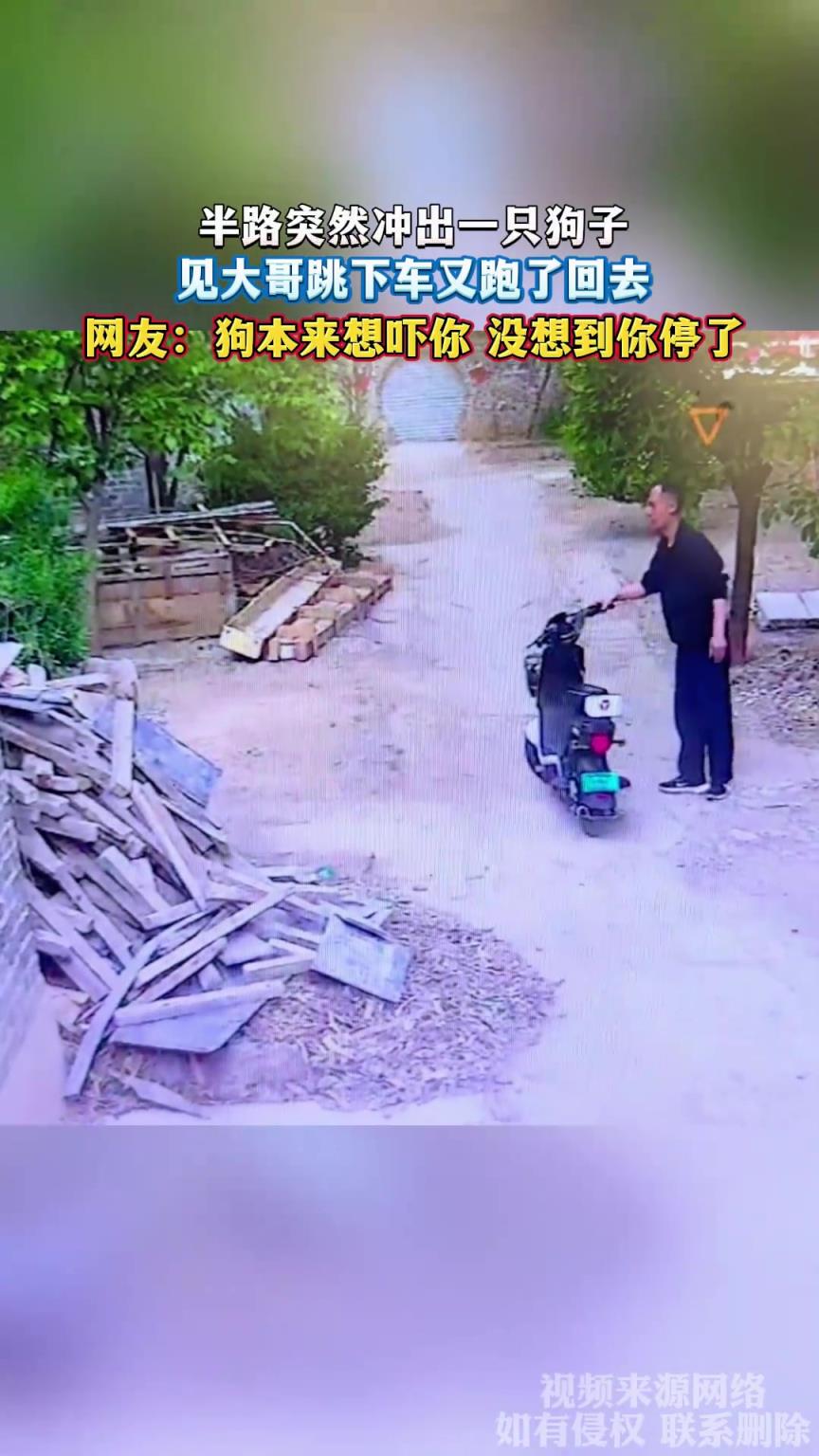 半路突然沖出一只狗子，見大哥跳下車又跑了回去