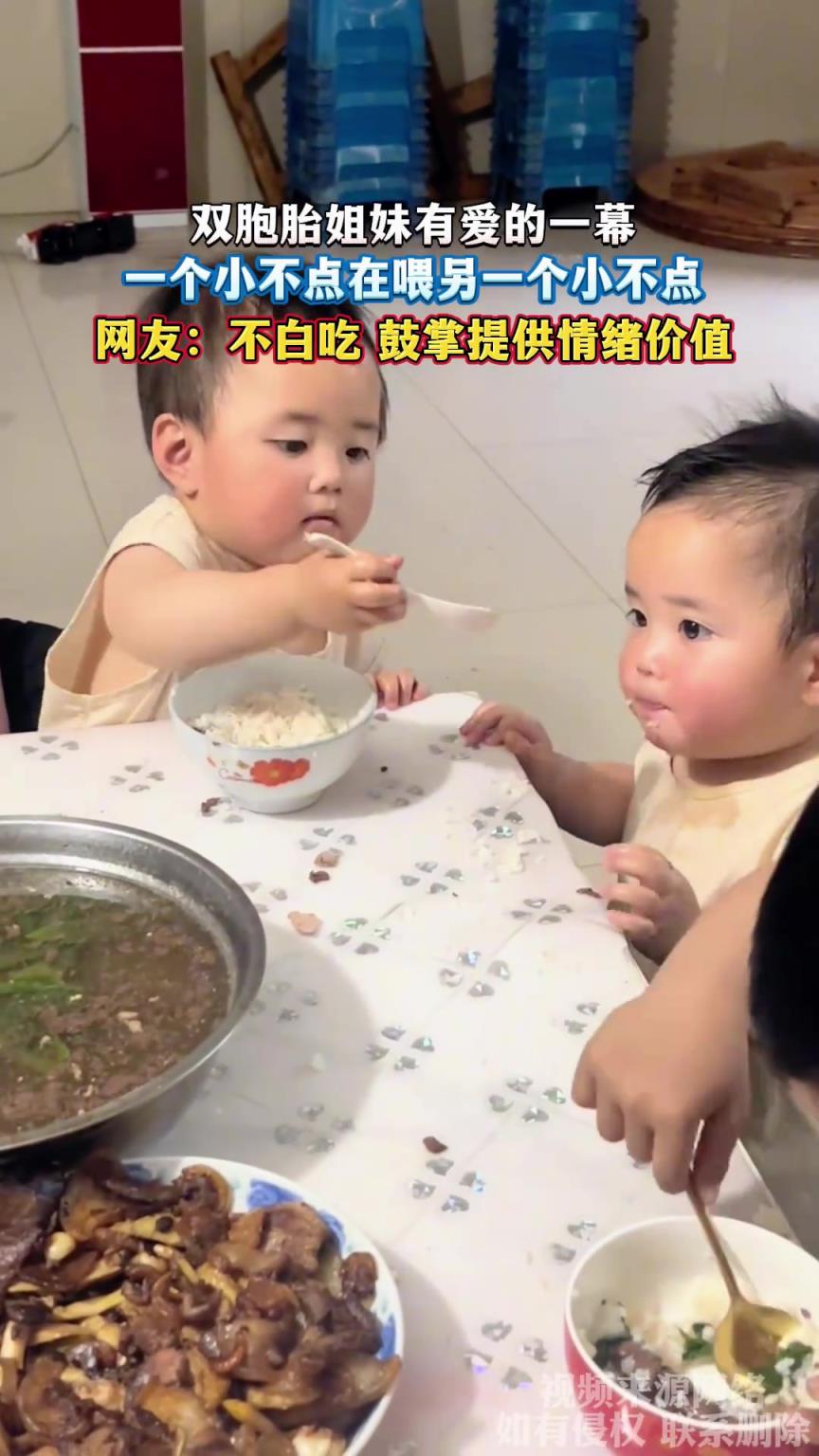 雙胞胎姐妹有愛的一幕，一個(gè)小不點(diǎn)在喂另一個(gè)小不點(diǎn)