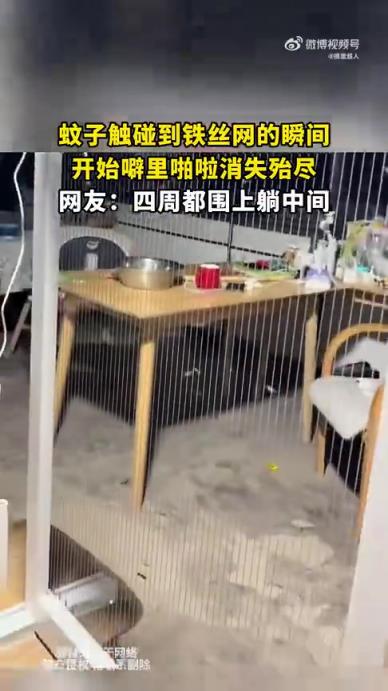 蚊子触碰铁丝网瞬间，噼里啪啦消失殆尽