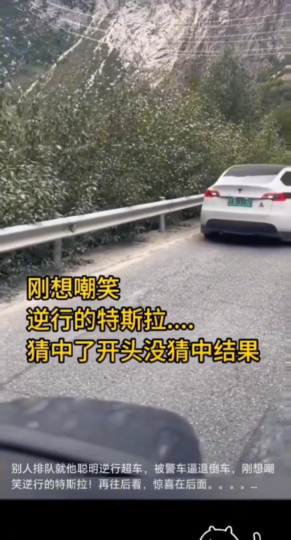 看到它的車屁股倒過來時(shí)我真沒忍住