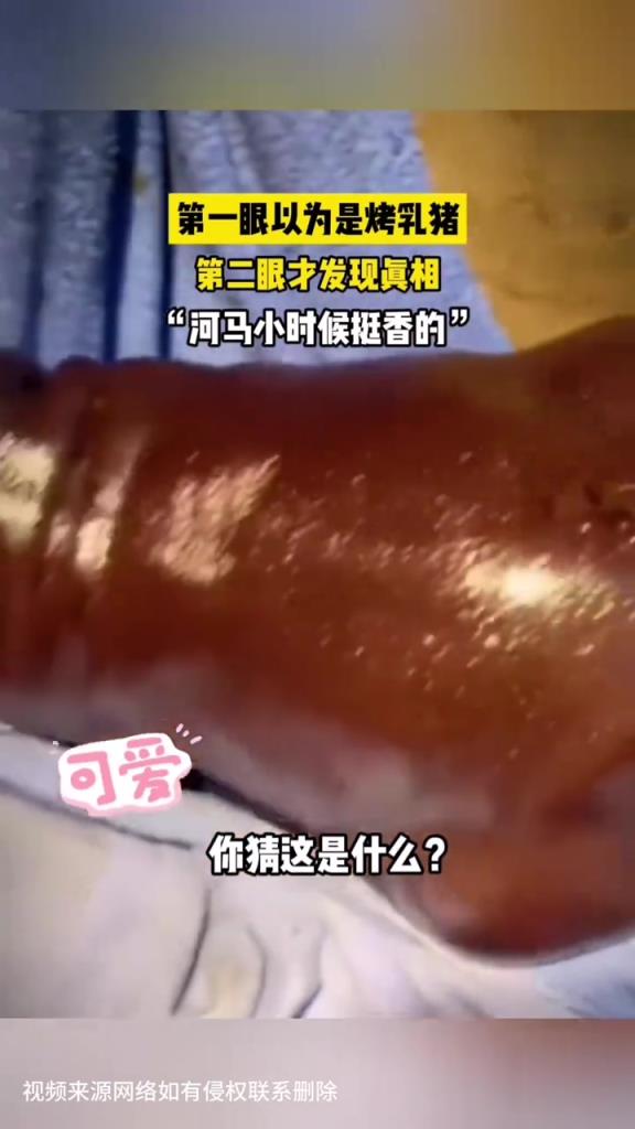 河馬小時候挺香的?。?！