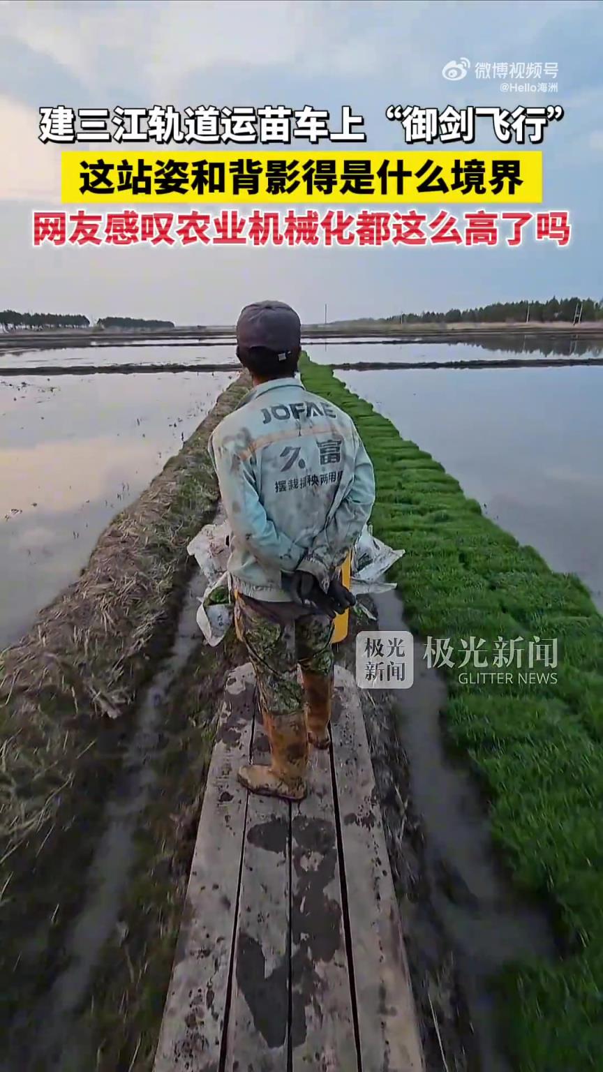 建三江軌道運苗車上“御劍飛行”！這站姿和背影得是什么境界
