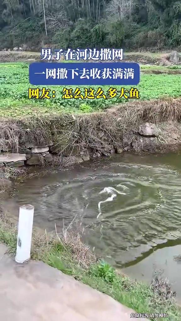 男子在河邊撒網(wǎng),一網(wǎng)撒下去收獲滿滿!!