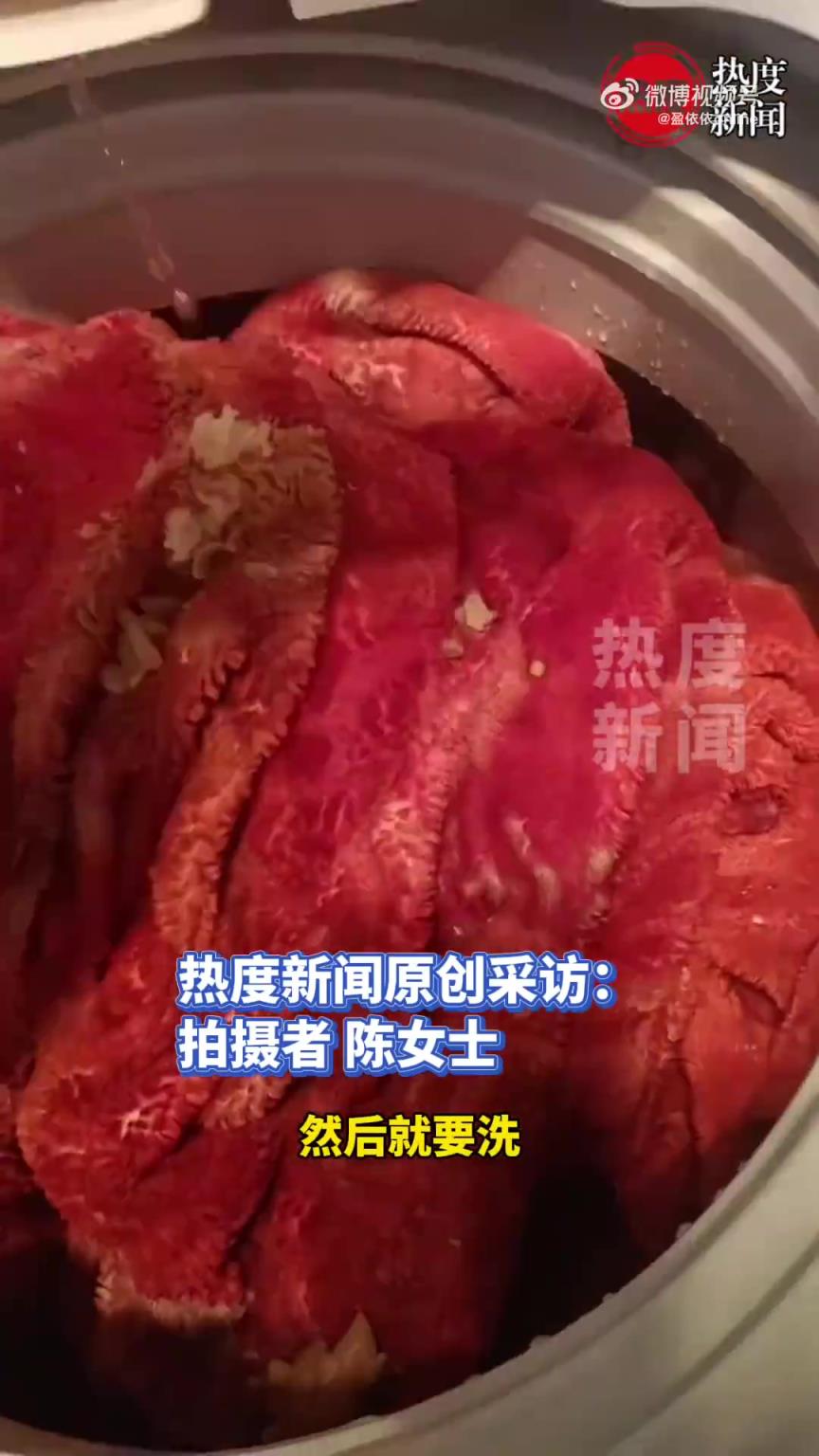 女兒弄臟的毯子因停水忘在洗衣機內，時隔五六個月后才想起