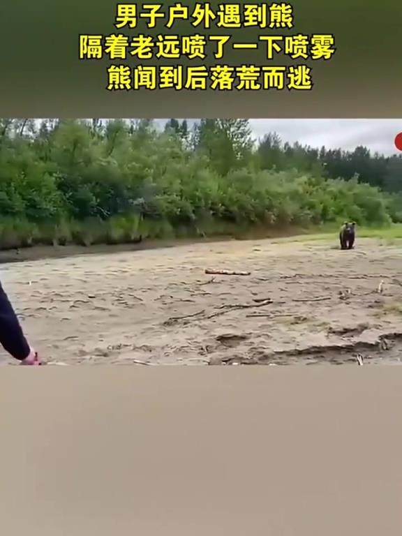 男子戶外遇到熊,隔著老遠(yuǎn)噴了一下噴霧,熊聞到后落荒而逃!!!