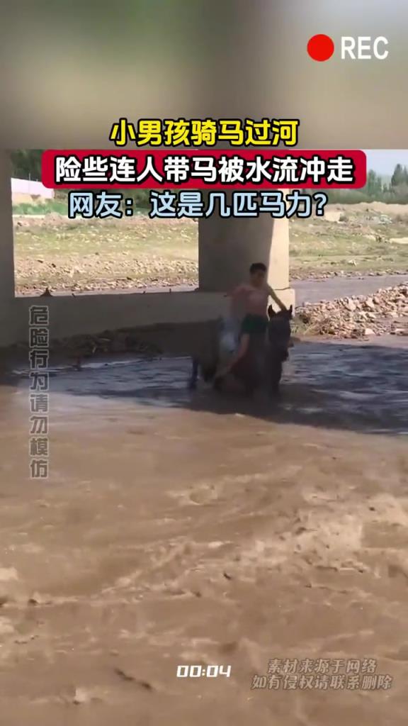 小男孩騎馬過(guò)河,險(xiǎn)些連人帶馬被水流沖走,網(wǎng)友:這是幾匹馬力?