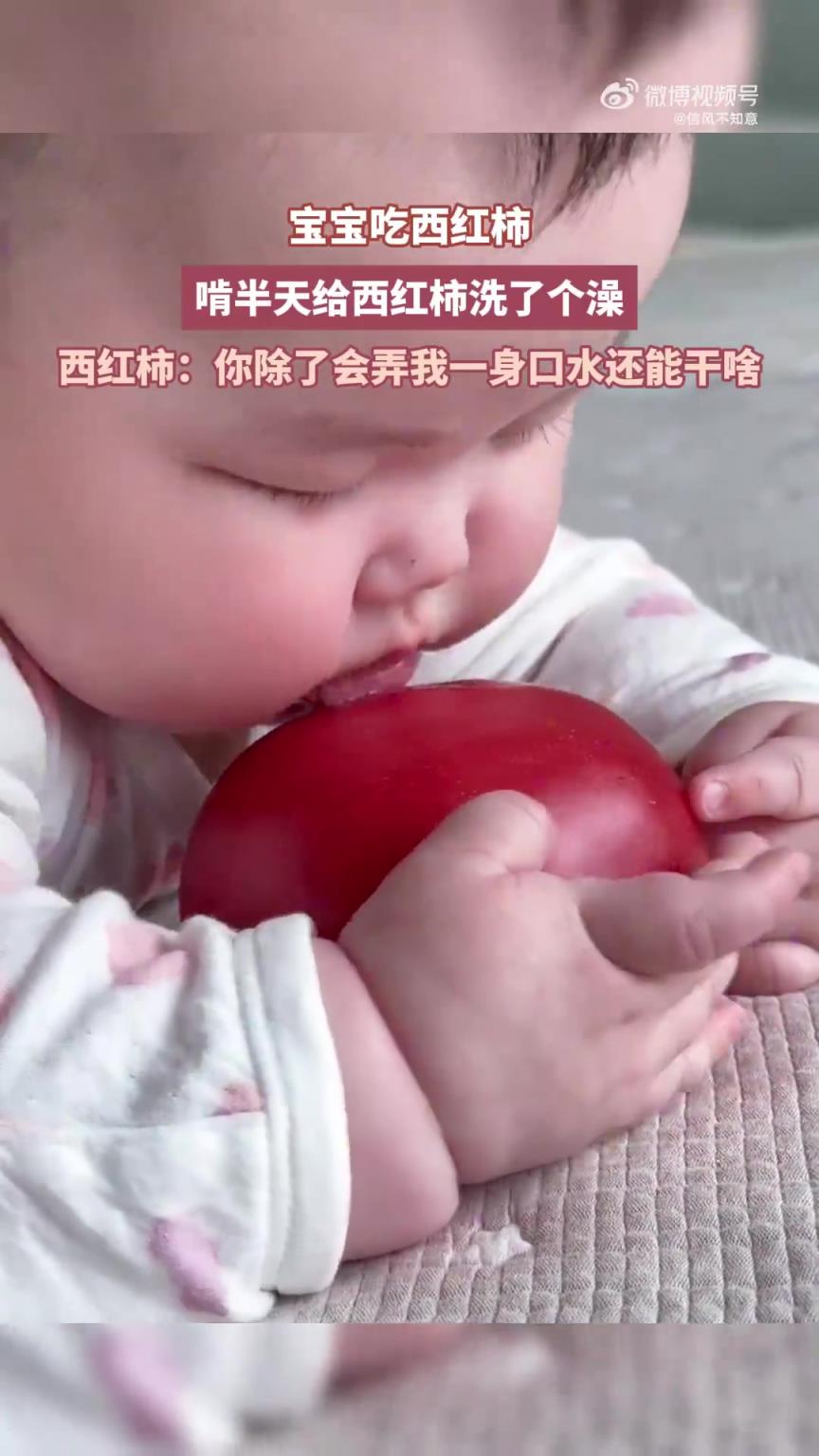 寶寶啃西紅柿，半天下來像是給它洗了個(gè)澡