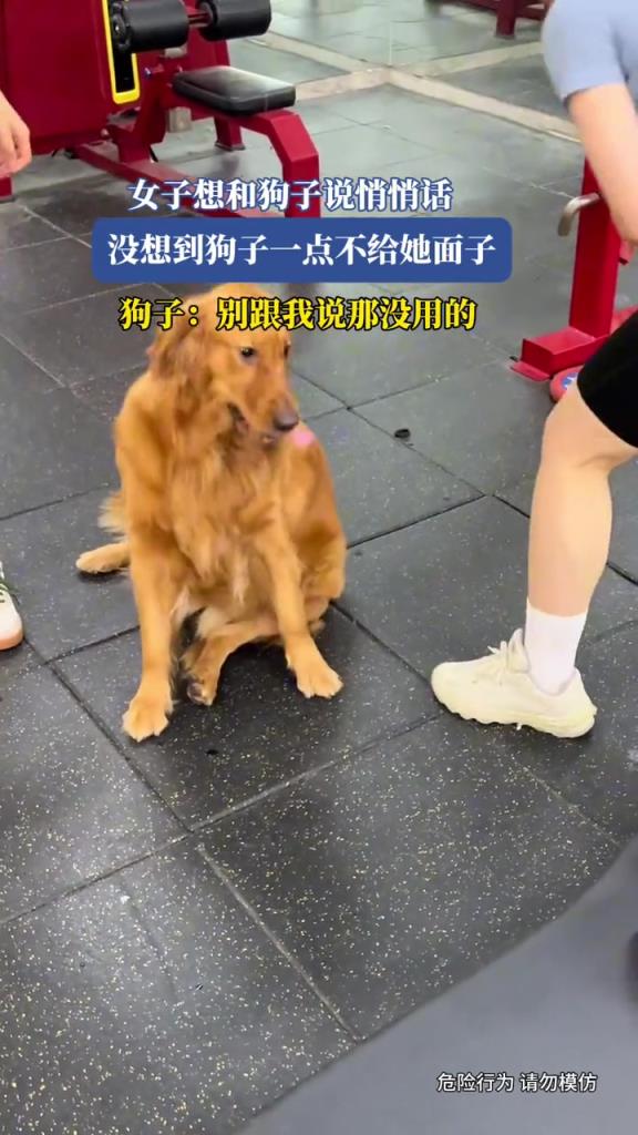 女子想和狗子說悄悄話,沒想到狗子一點不給她面子