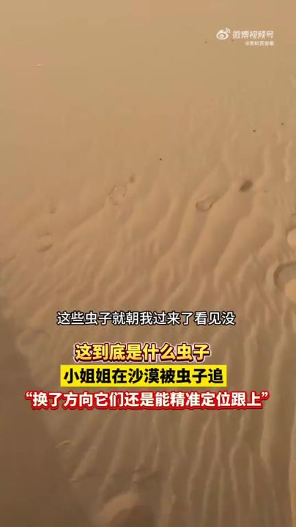 小姐姐在沙漠被蟲子追，換方向仍難逃：究竟是什么蟲？