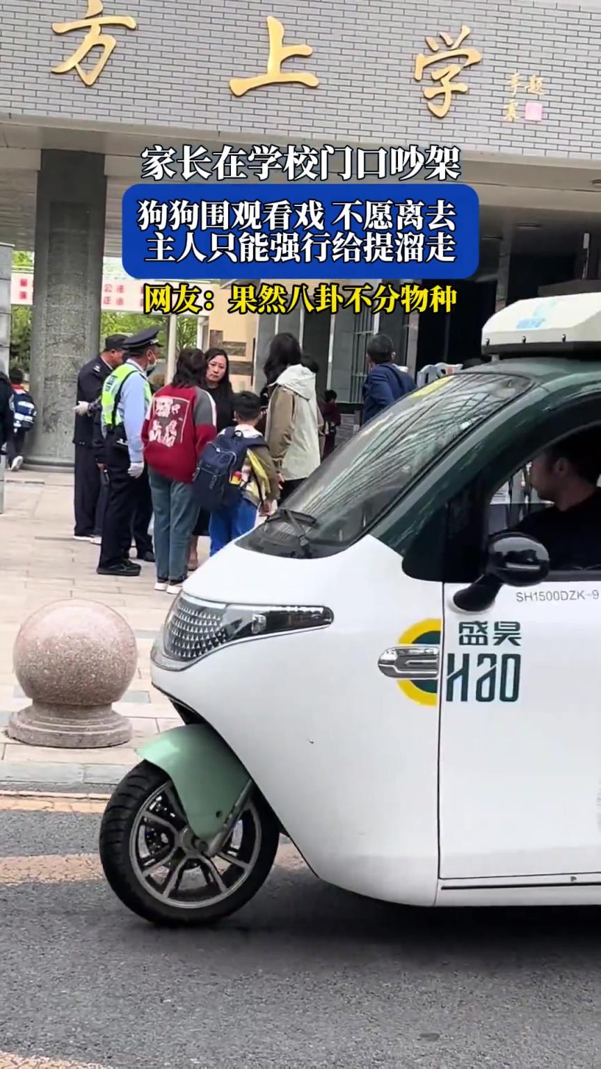 家長在學(xué)校門口吵架 狗狗圍觀看戲不愿離去