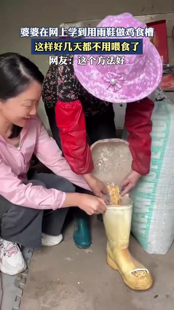 婆婆在网上学到用雨鞋做鸡食槽，这样好几天都不用喂食了