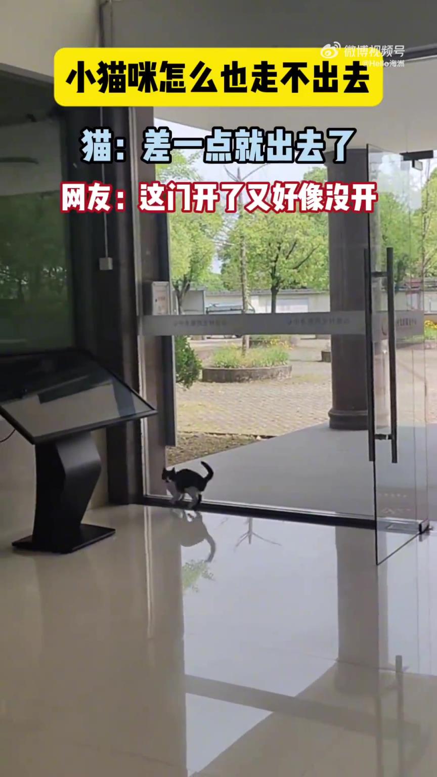 小貓咪怎么也走不出去 貓：差一點就出去了