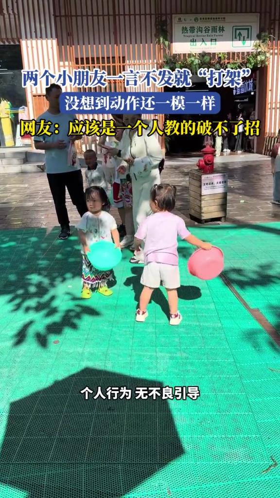 兩個小朋友一言不發(fā)就“打架”,沒想到動作還一模一樣!!