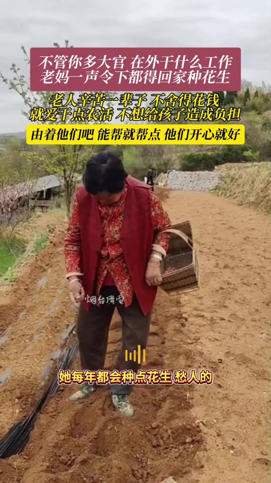 不管你多大官，在外干什么工作，老媽一聲令下都得回家種花生