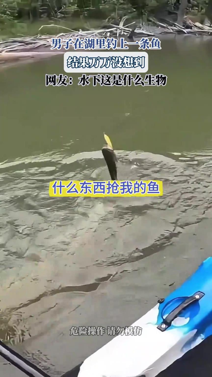 男子在湖里钓上一条鱼，结果万万没想到，网友：水下这是什么生物