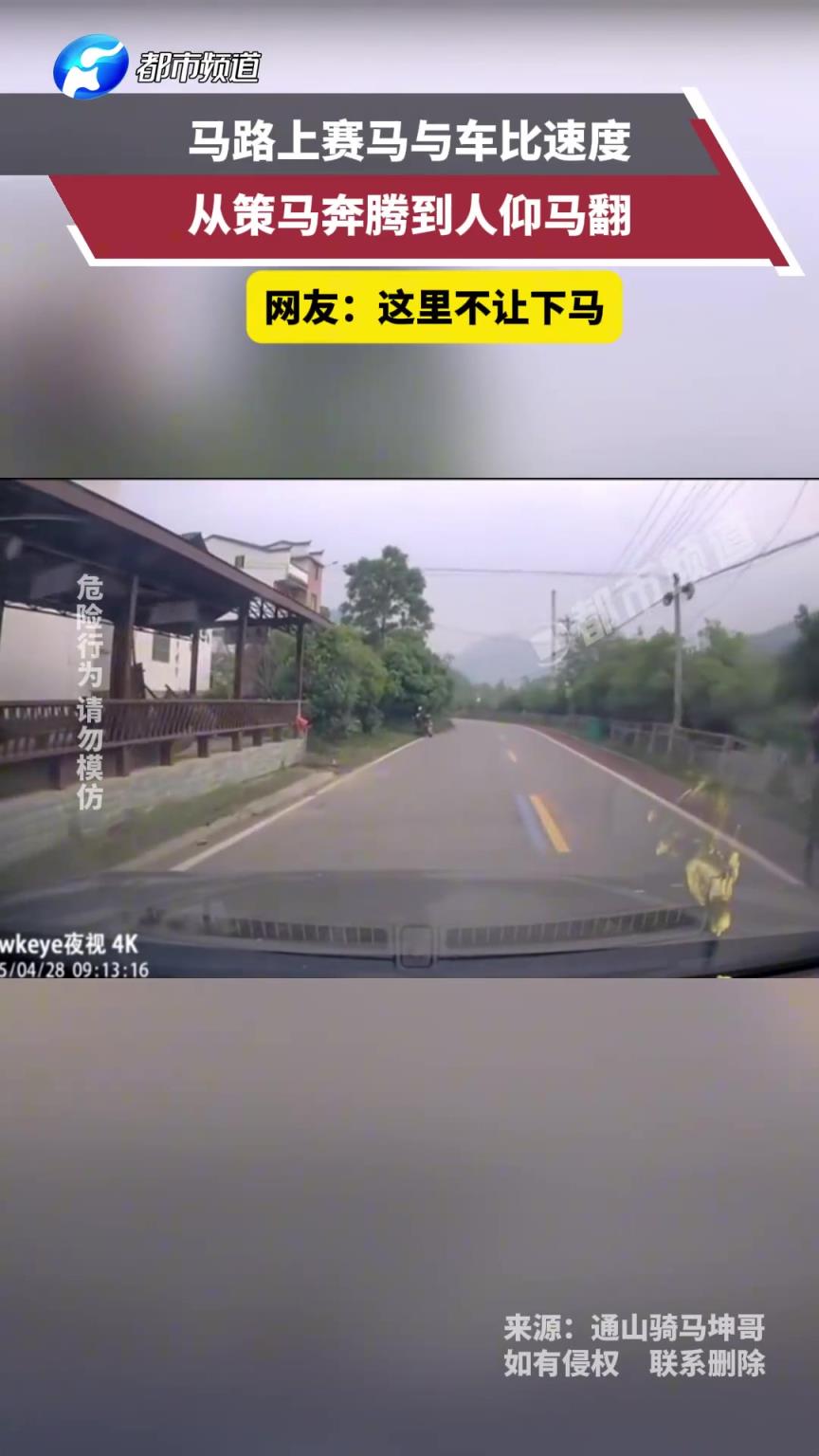 马路上赛马与车比速度，从策马奔腾到人仰马翻