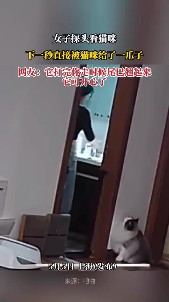 女子探頭看貓，慘遭貓咪一爪