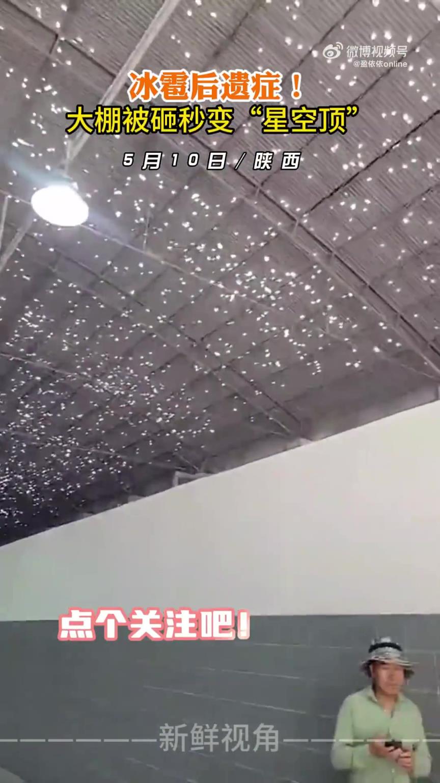 冰雹后遗症！大棚被砸秒变“星空顶”～