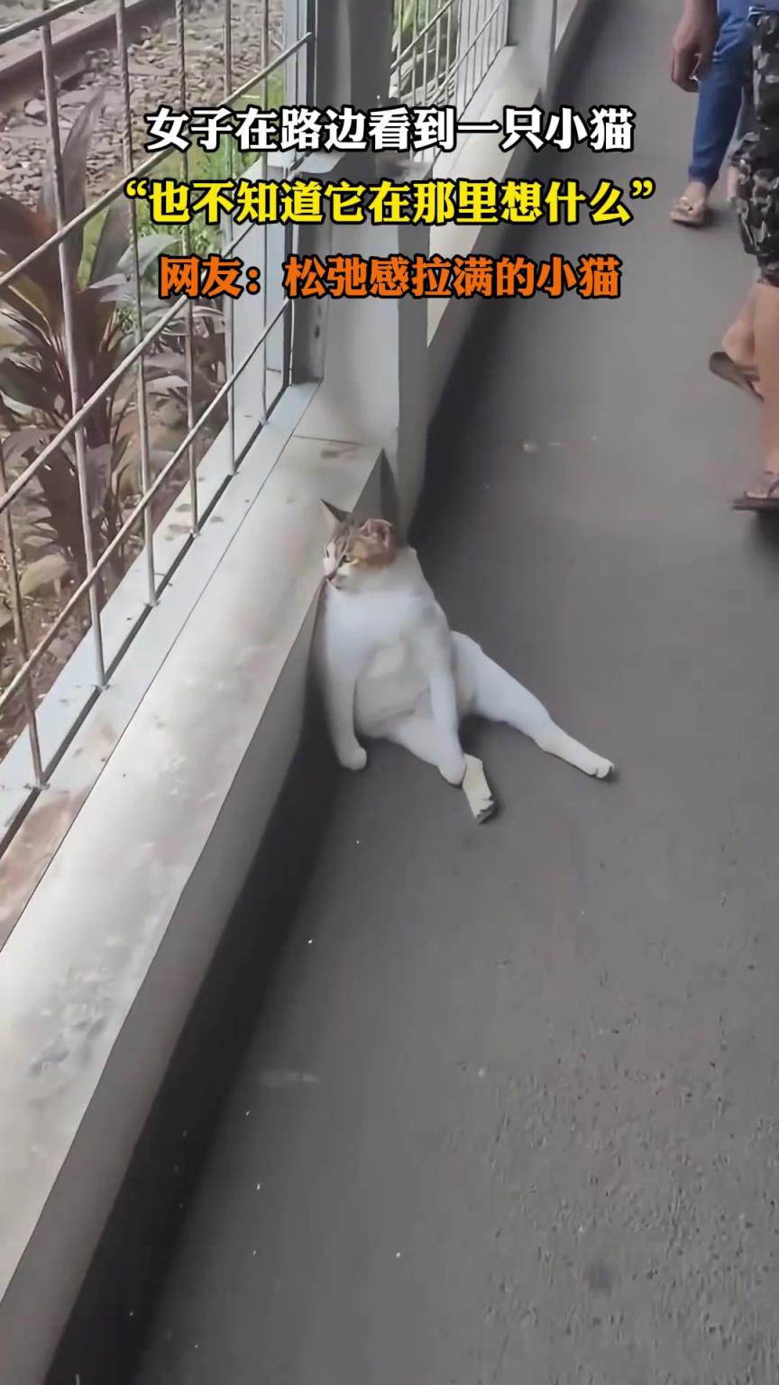 女子在路边看到一只小猫，也不知道它在那里想什么