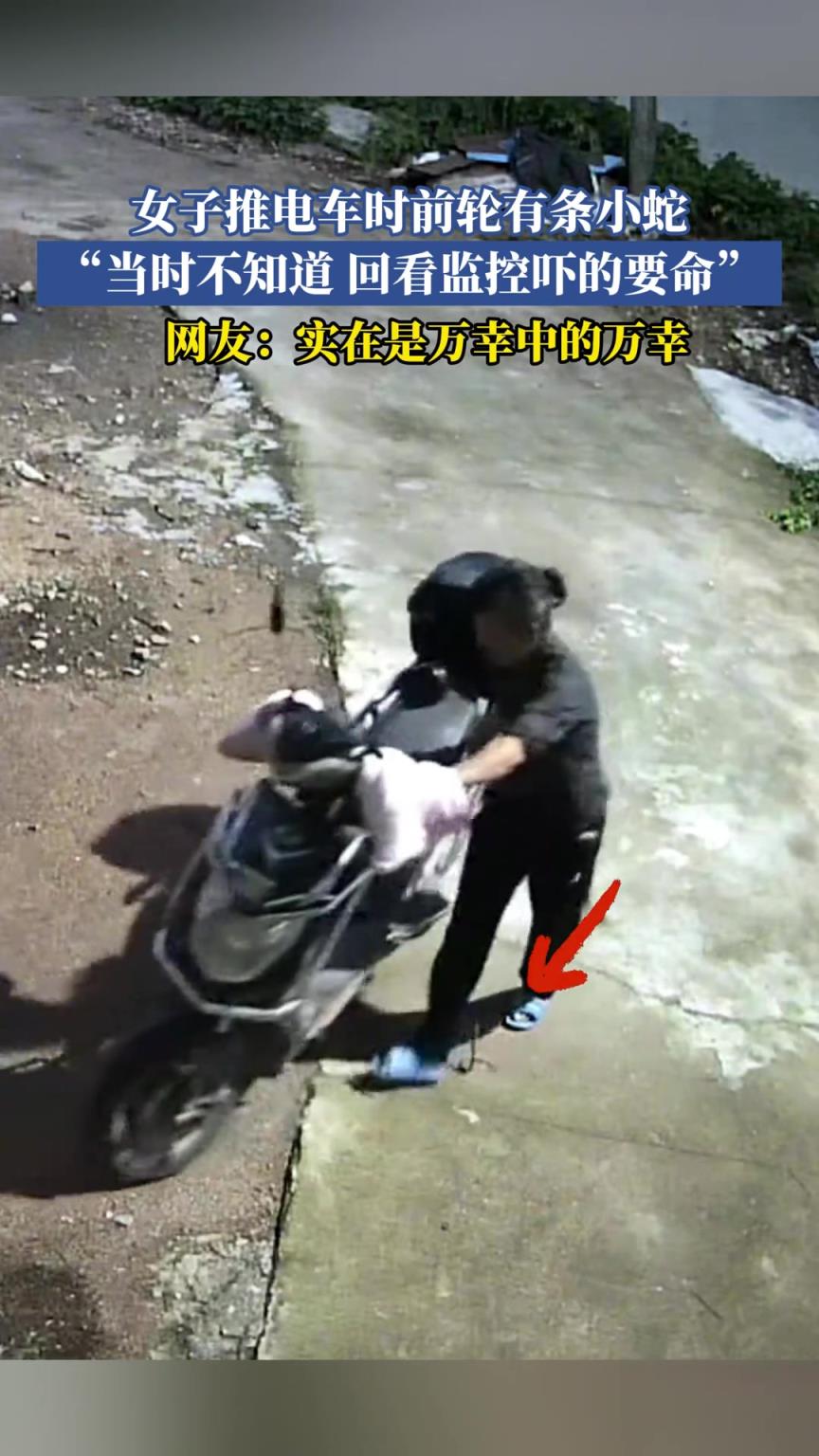 女子推電車(chē)時(shí)前輪有條小蛇，當(dāng)時(shí)不知道回看監(jiān)控嚇的要命