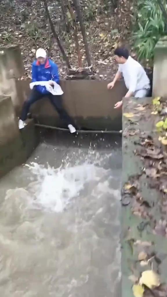 鱼为什么要跳起来