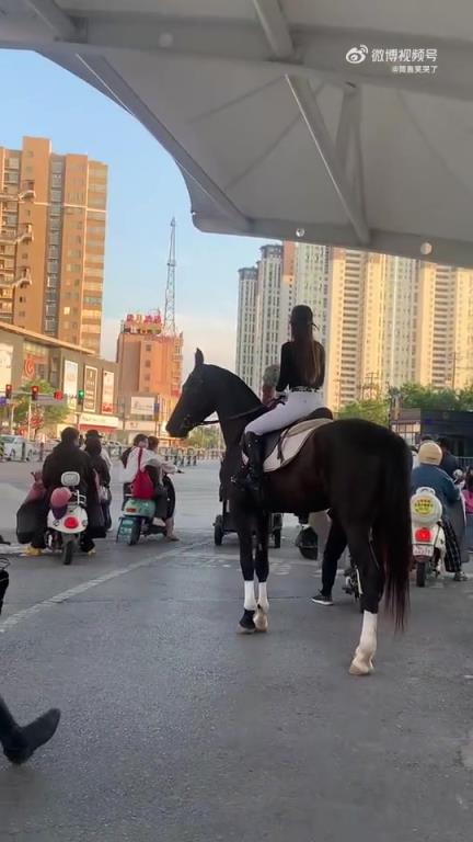 女子市區(qū)騎馬過馬路，這匹馬價值幾何？