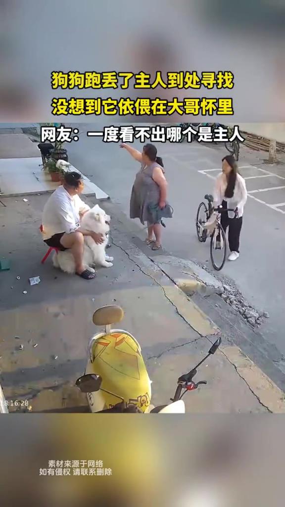 狗狗跑丟后依偎大哥懷中，暖心畫面獲贊