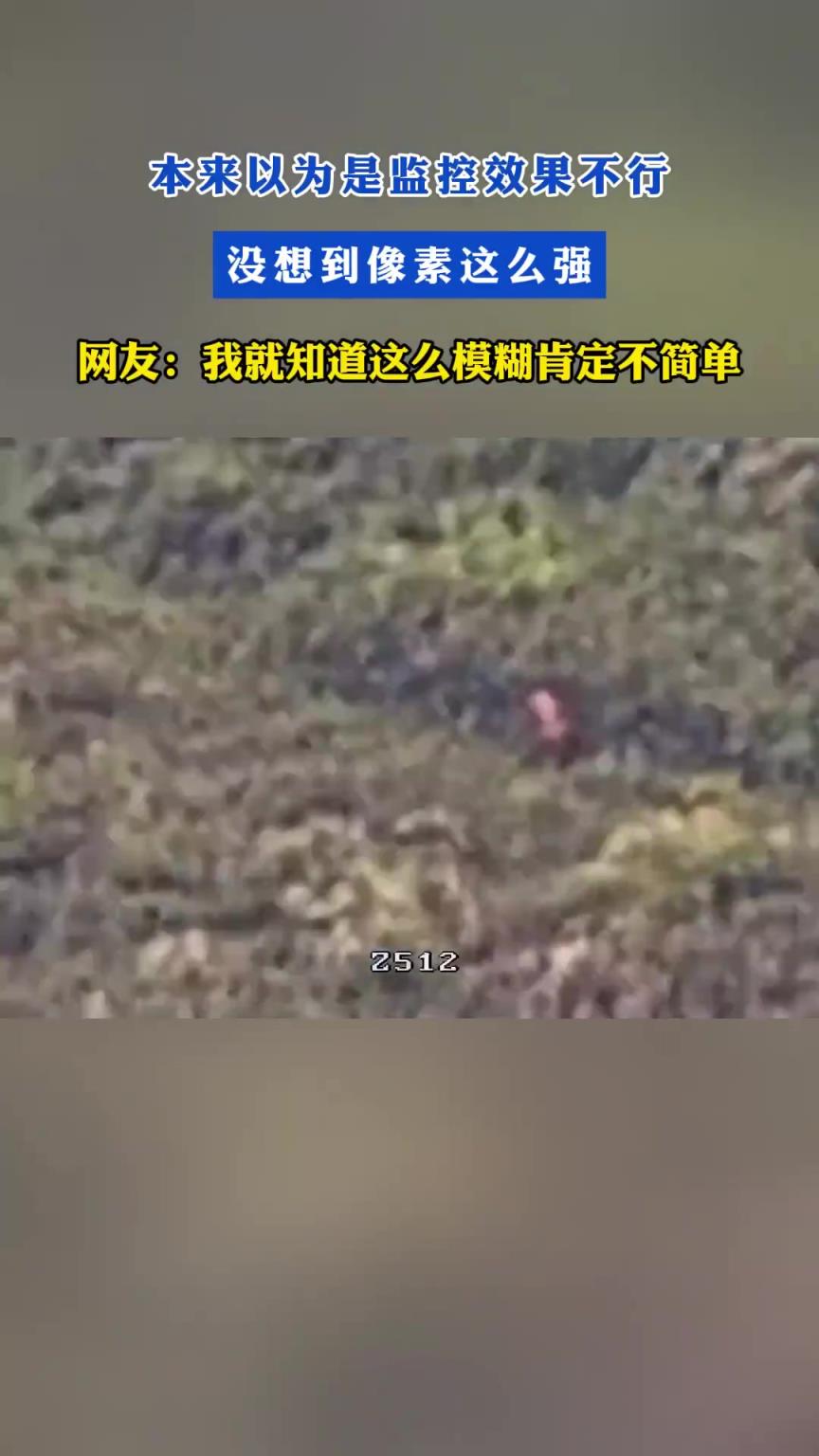 本来以为是监控效果不行，没想到像素这么强