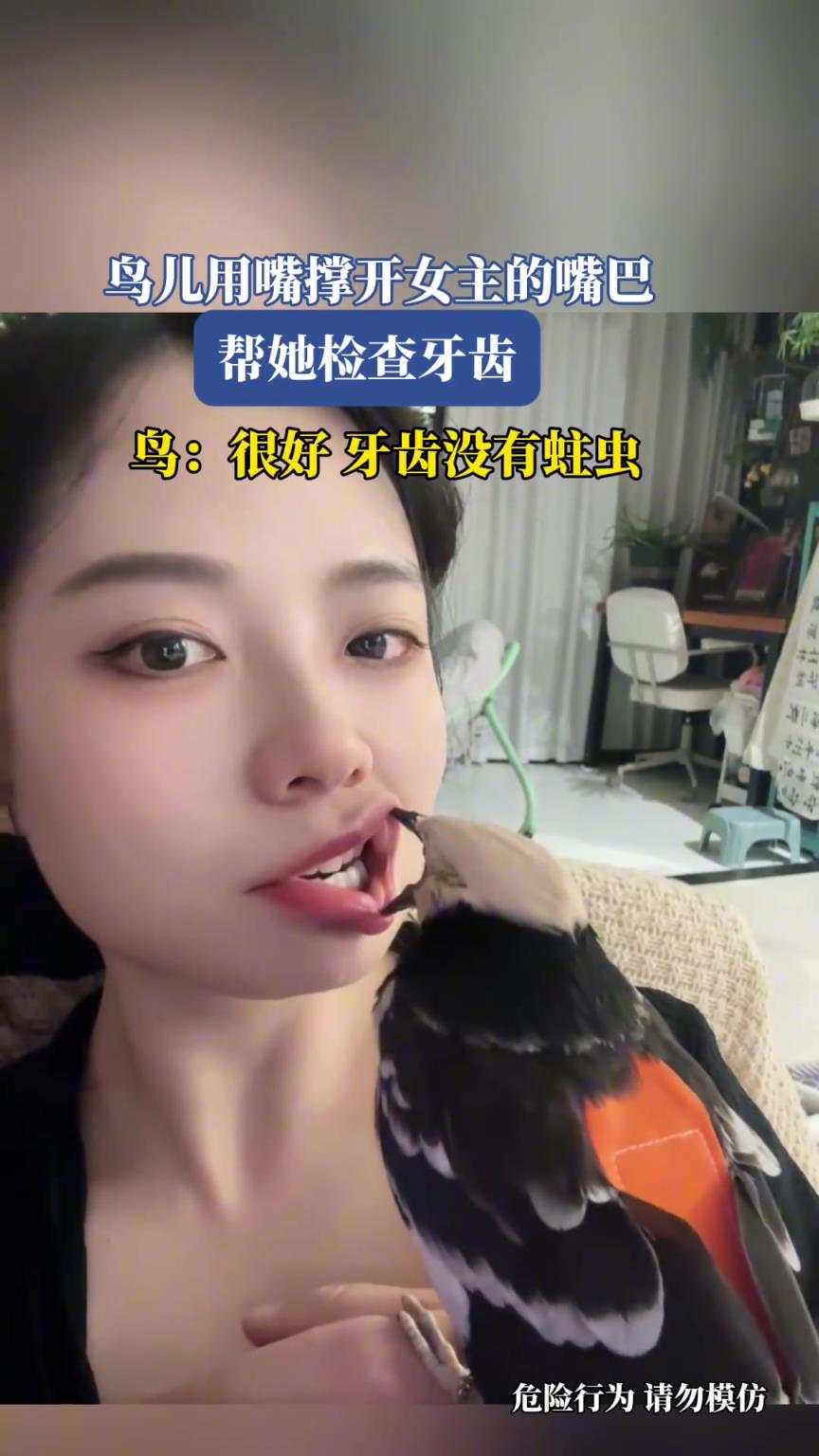 鳥(niǎo)兒用嘴撐開(kāi)女主的嘴巴，幫她檢查牙齒