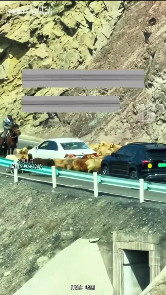 你永遠(yuǎn)猜不到堵車的原因 后車：轉(zhuǎn)完前面的 就不要來(lái)轉(zhuǎn)我了吧
