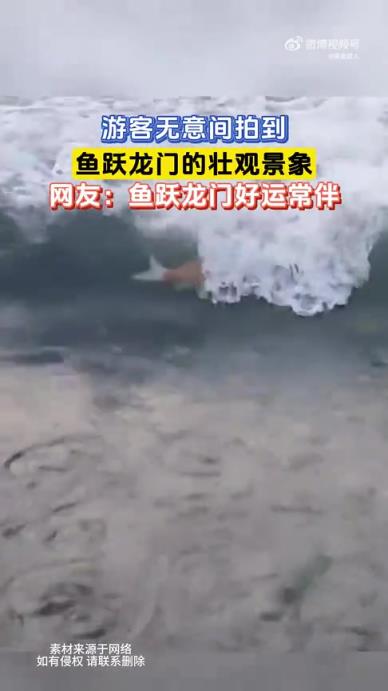 游客无意间拍到鱼跃龙门的壮观景象