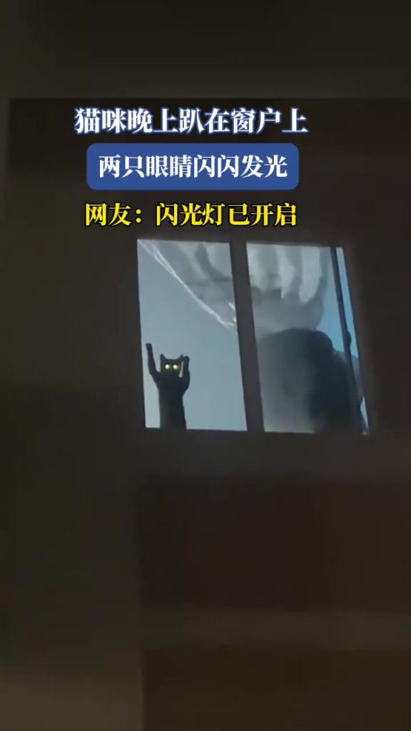 貓咪晚上趴在窗戶上，兩只眼睛閃閃發(fā)光