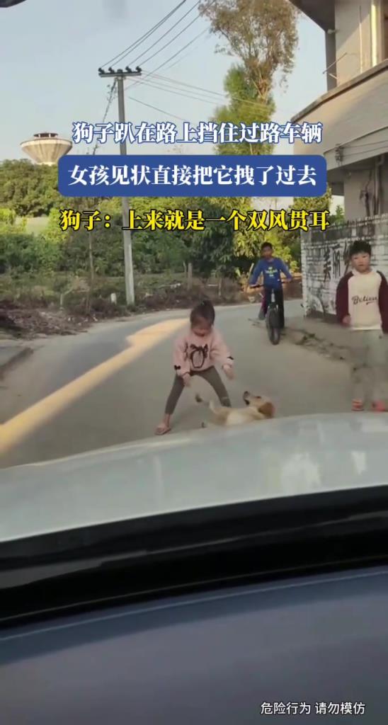 狗子趴在路上擋住過路車輛，女孩見狀直接把它拽了過去