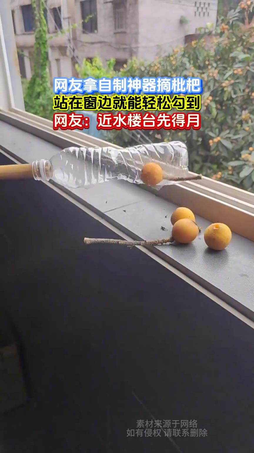 網(wǎng)友拿自制神器摘枇杷，站在窗邊就能輕松勾到!
