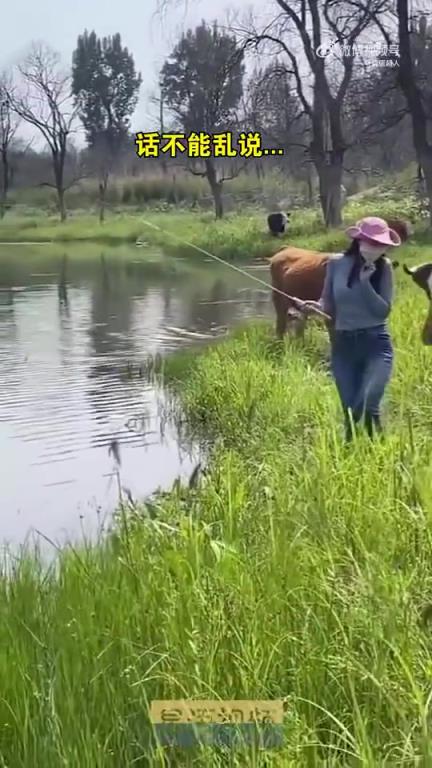剛說完小心,下一秒美女就被牛頂翻!!!