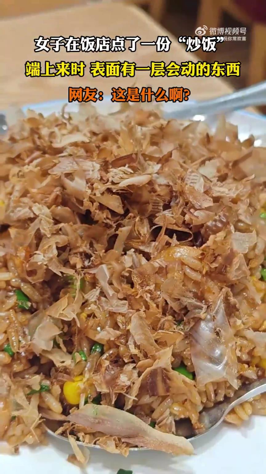 女子饭店点炒饭，端上后表面现会动之物